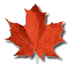 red_maple_leaf